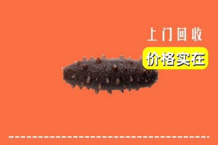 广州市番禺回收海参