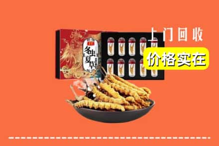 广州市番禺回收虫草
