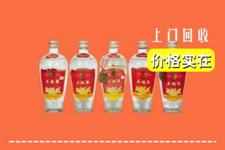 广州市番禺回收老五粮液
